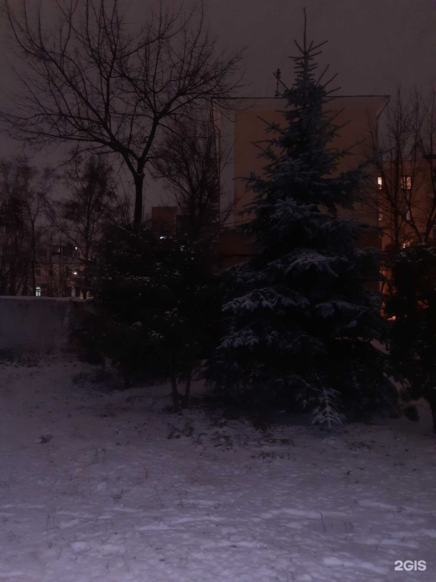 Отзывы на компанию Стоматолог и Я в Нижнем Новгороде c фото - фотография 2 из 2