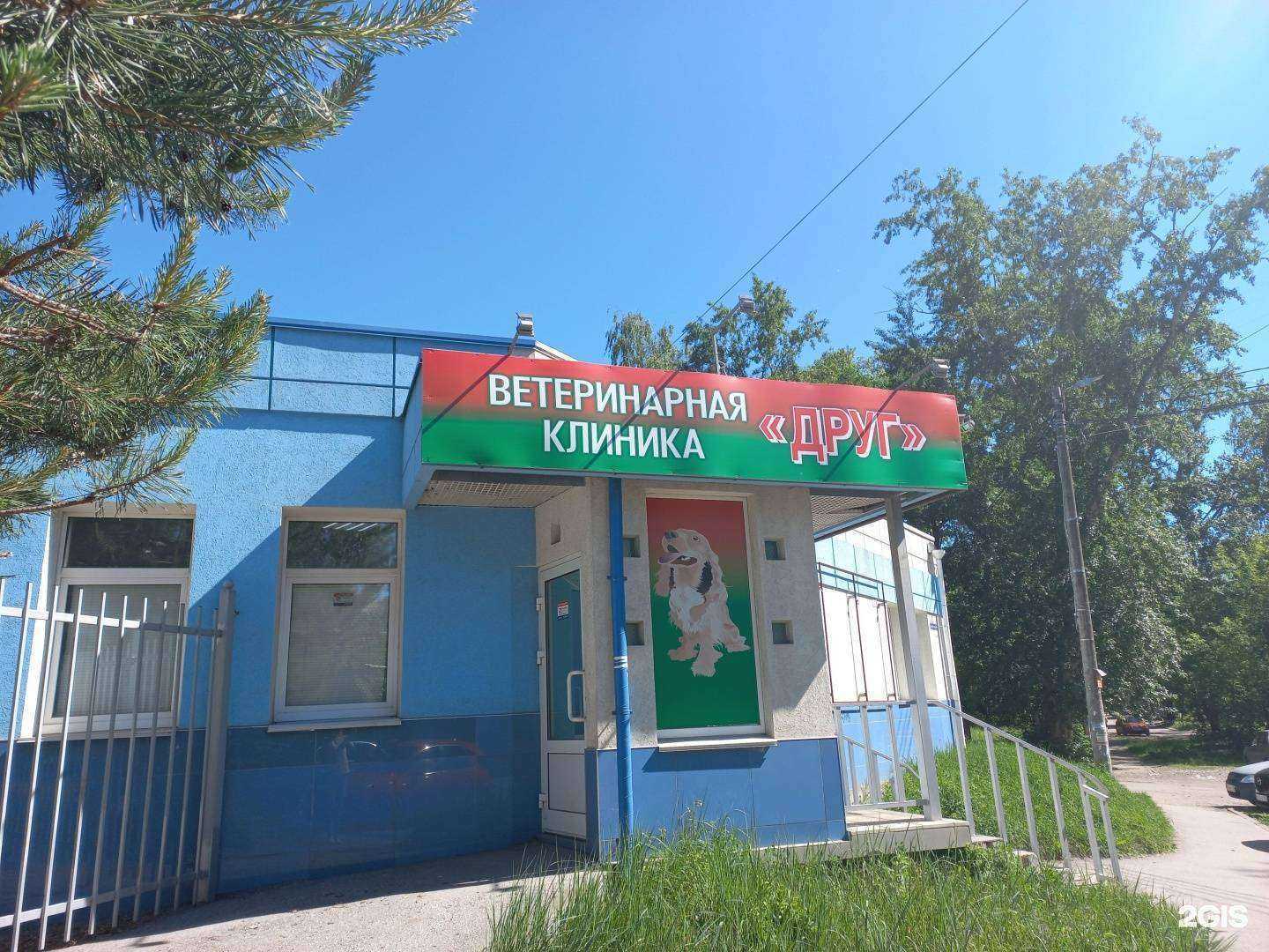 Отзывы на компанию Друг в Нижнем Новгороде c фото