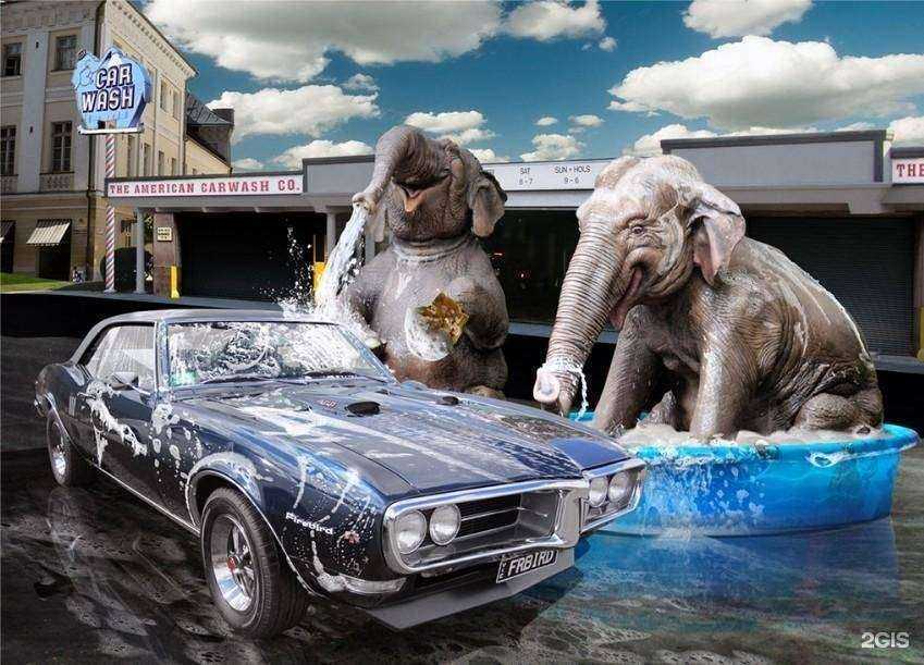 Отзывы на компанию Основа в Вологде c фото