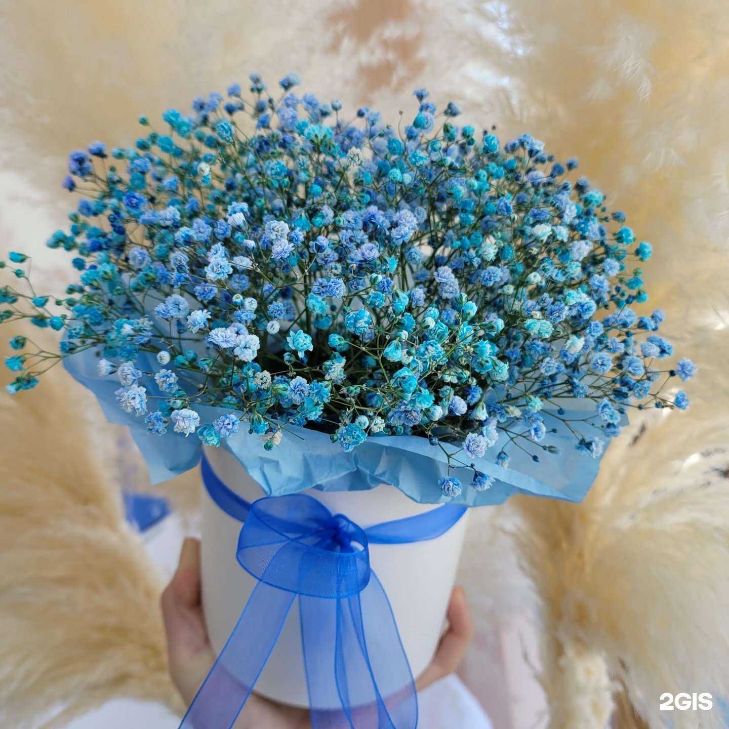 Отзывы на компанию Крокус в Челябинске c фото