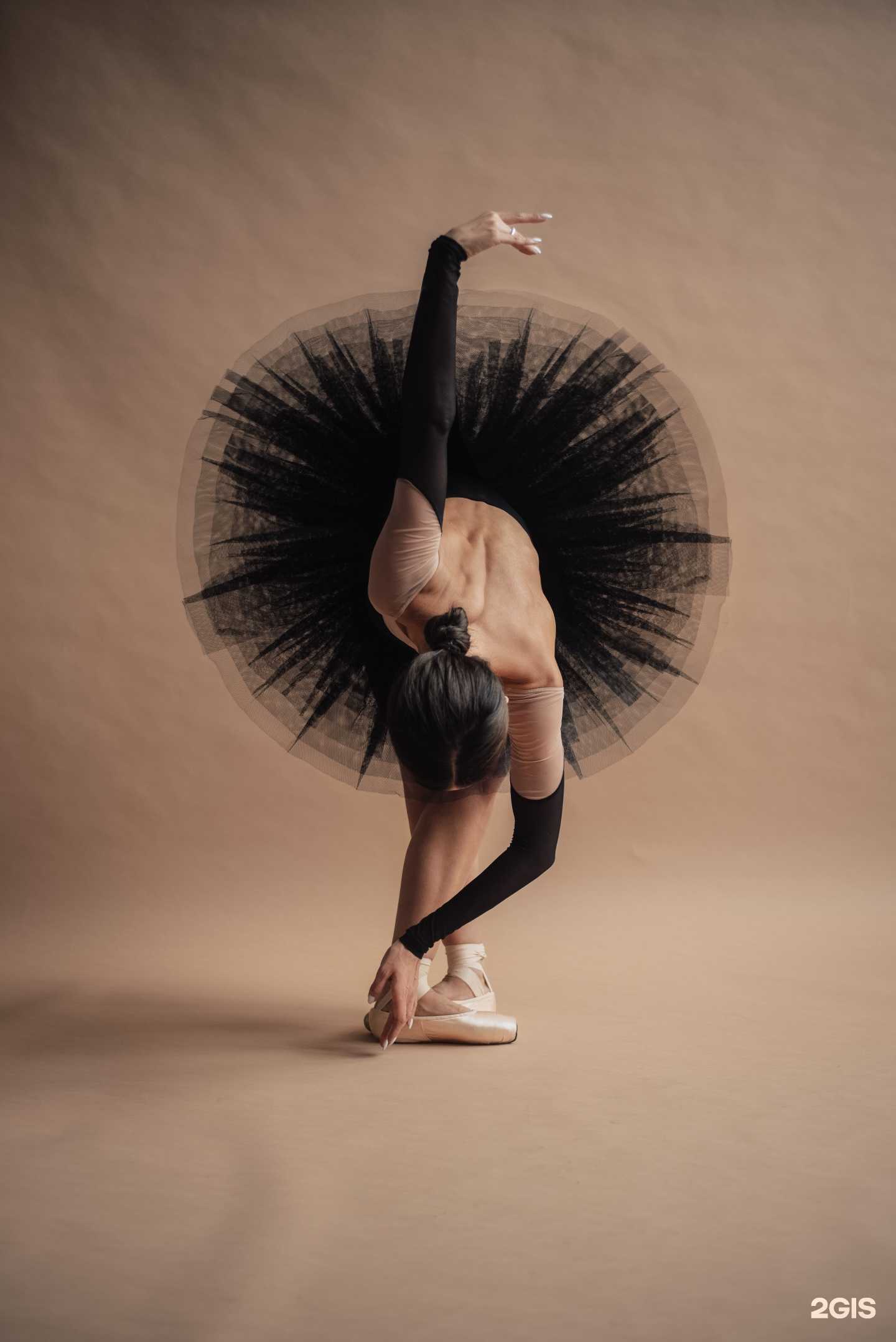 Отзывы на компанию Clio в г. Новосибирск c фото