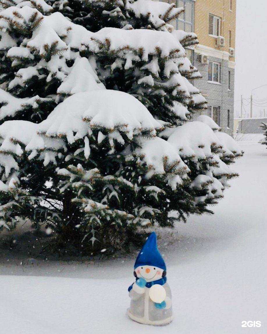 Отзывы на компанию Сармат в Волгограде c фото