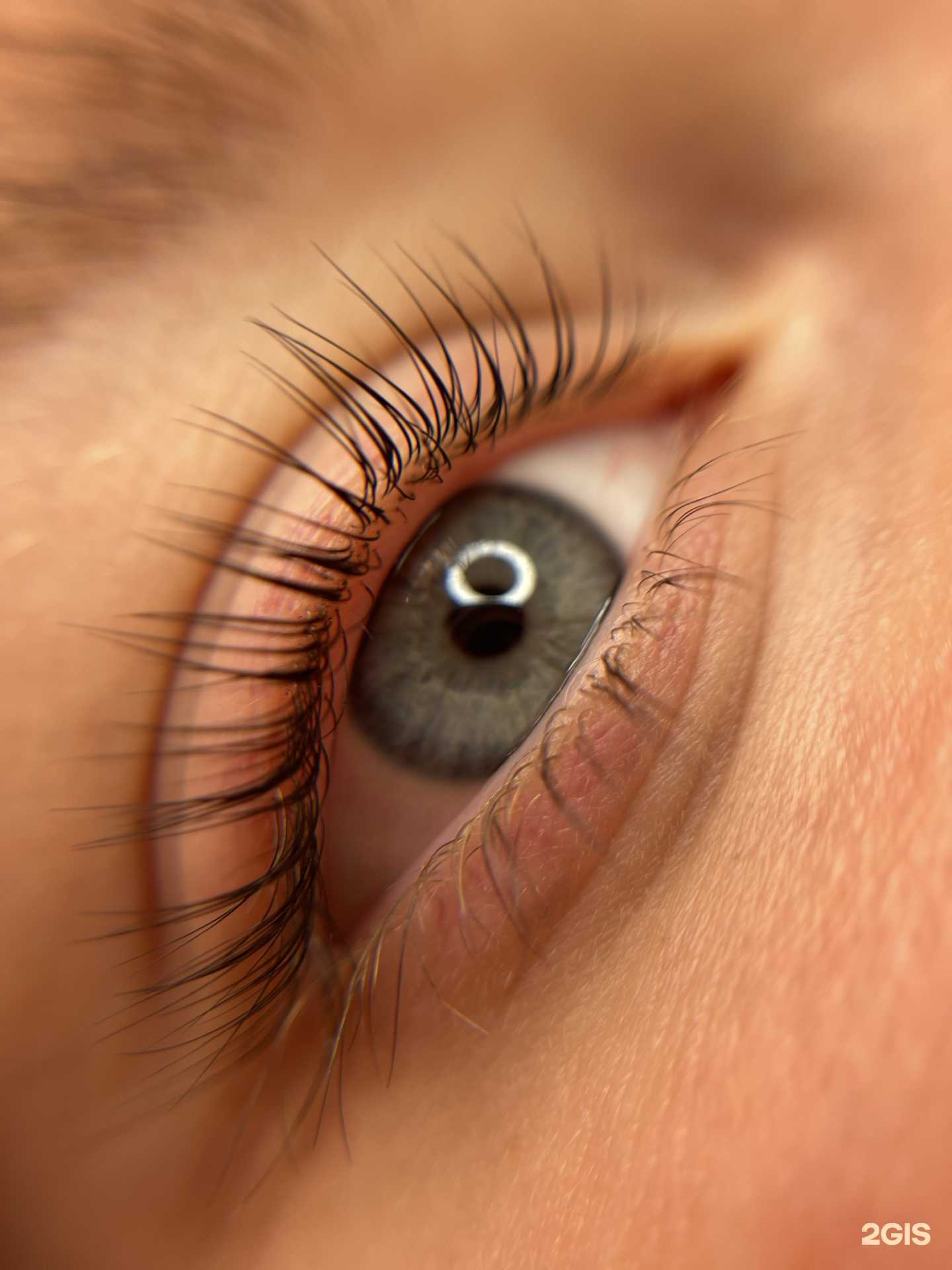 Отзывы на компанию Cult browbar в Новосибирске c фото