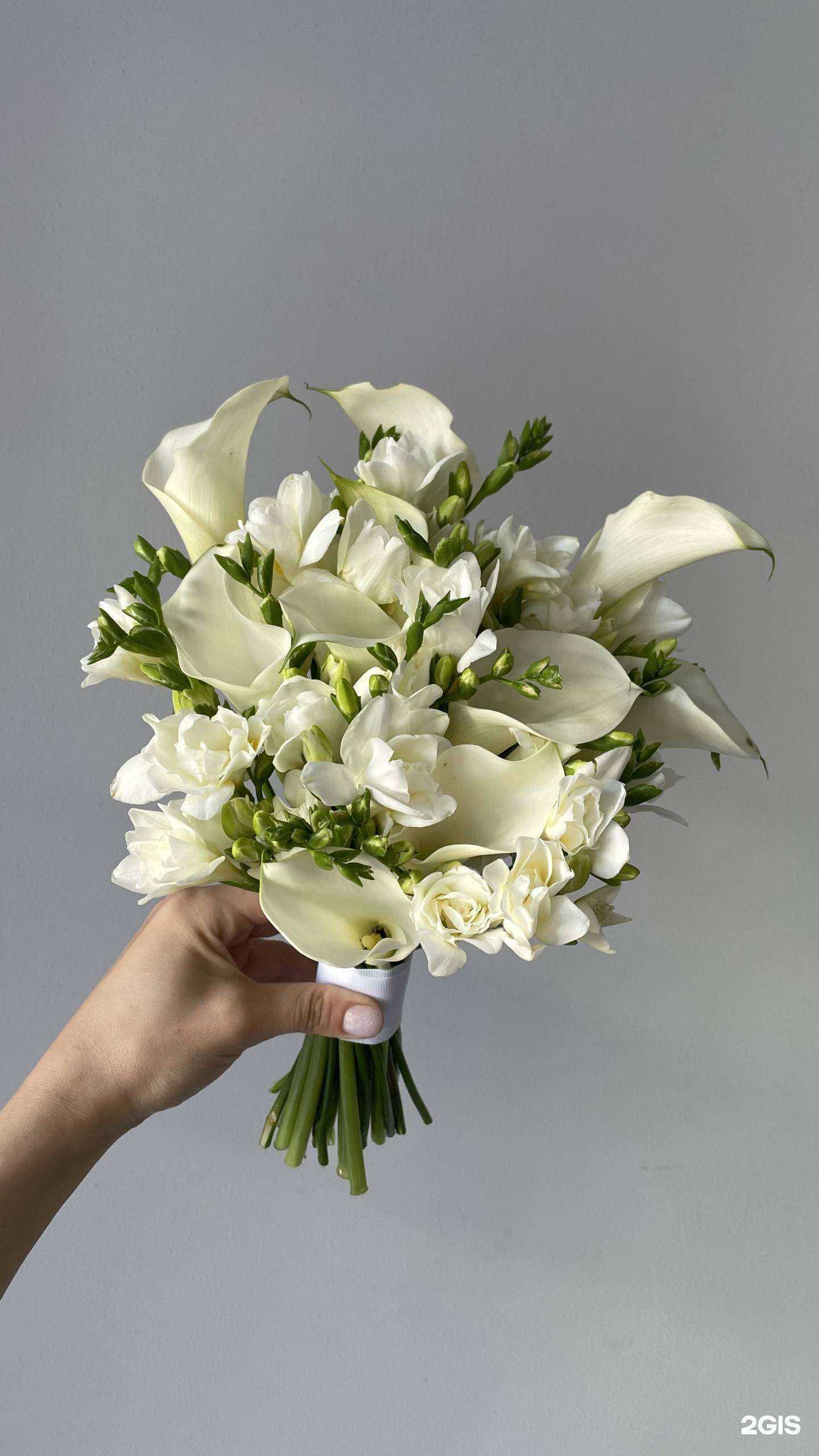 Отзывы на компанию Клумба в г. Новый Уренгой c фото