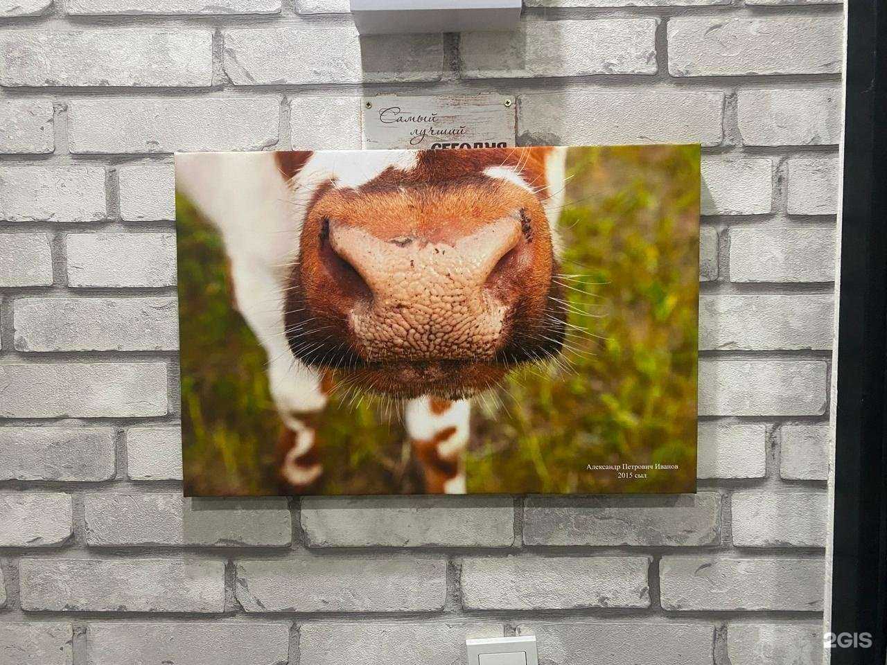 Отзывы на компанию mr.Printer в г. Якутск c фото