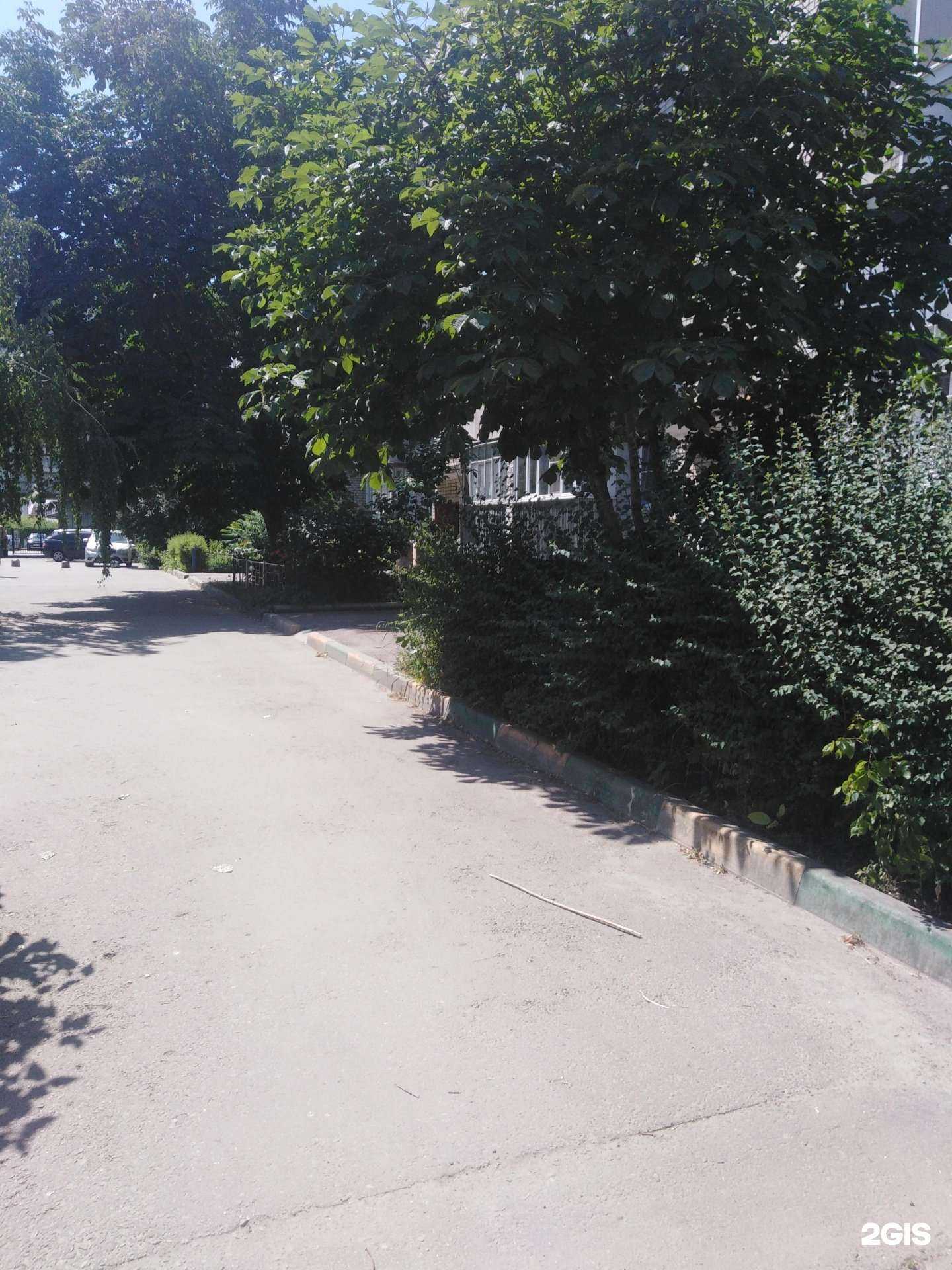 Отзывы на компанию Гемотест в Тамбове c фото - фотография 2 из 2