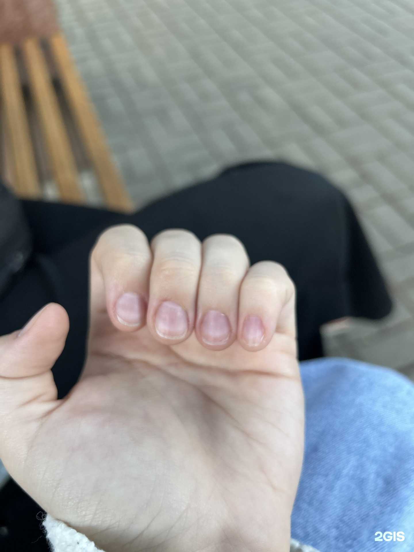 Отзывы на компанию Шарм в Сочи c фото