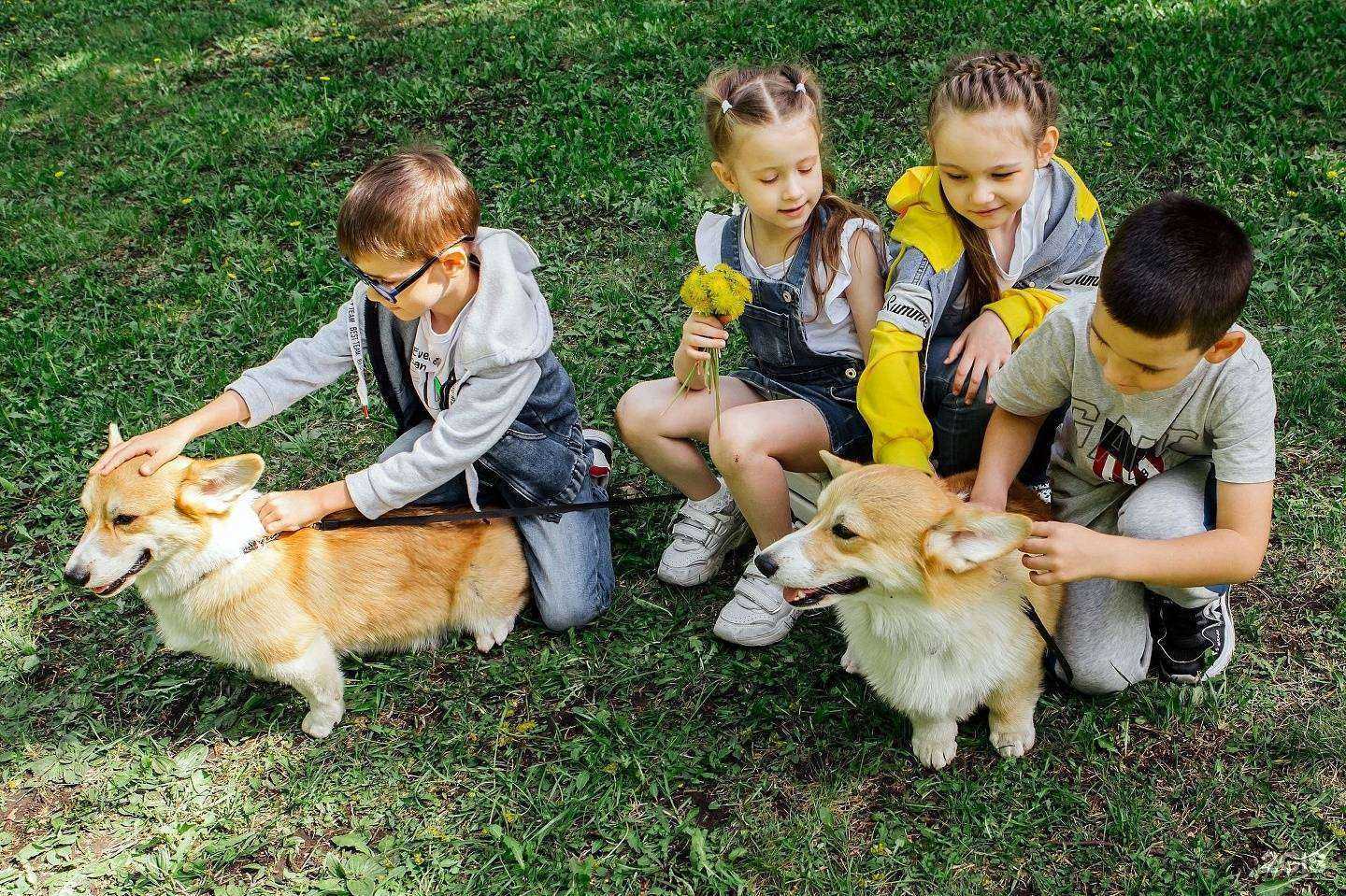 Отзывы на компанию Арниа в г. Новосибирск c фото