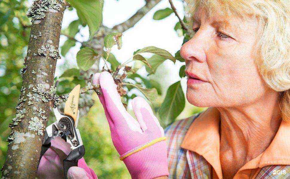 Отзывы на компанию Континент Урал в Челябинске c фото