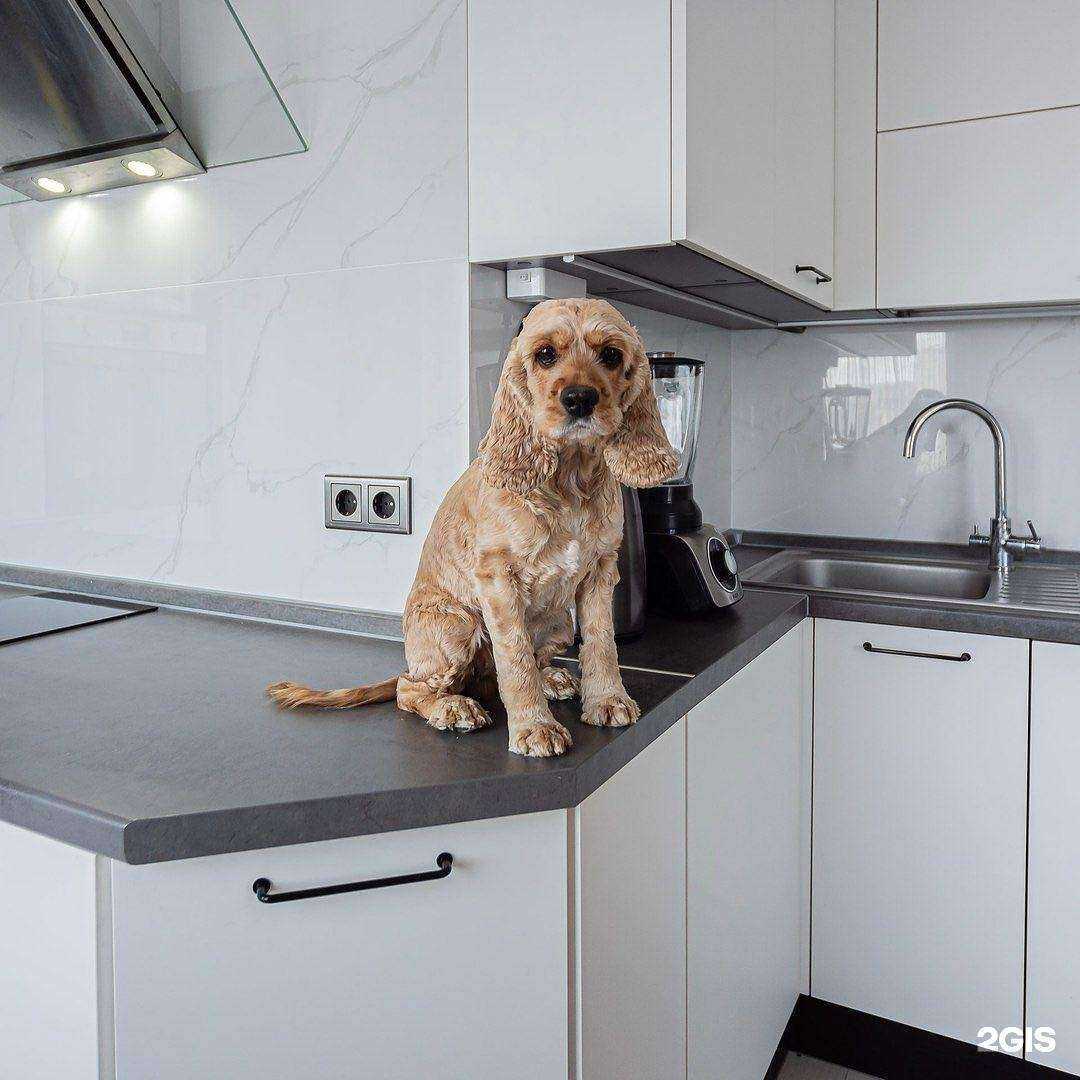 Отзывы на компанию Ярмарка Мебели в г. Воронеж c фото