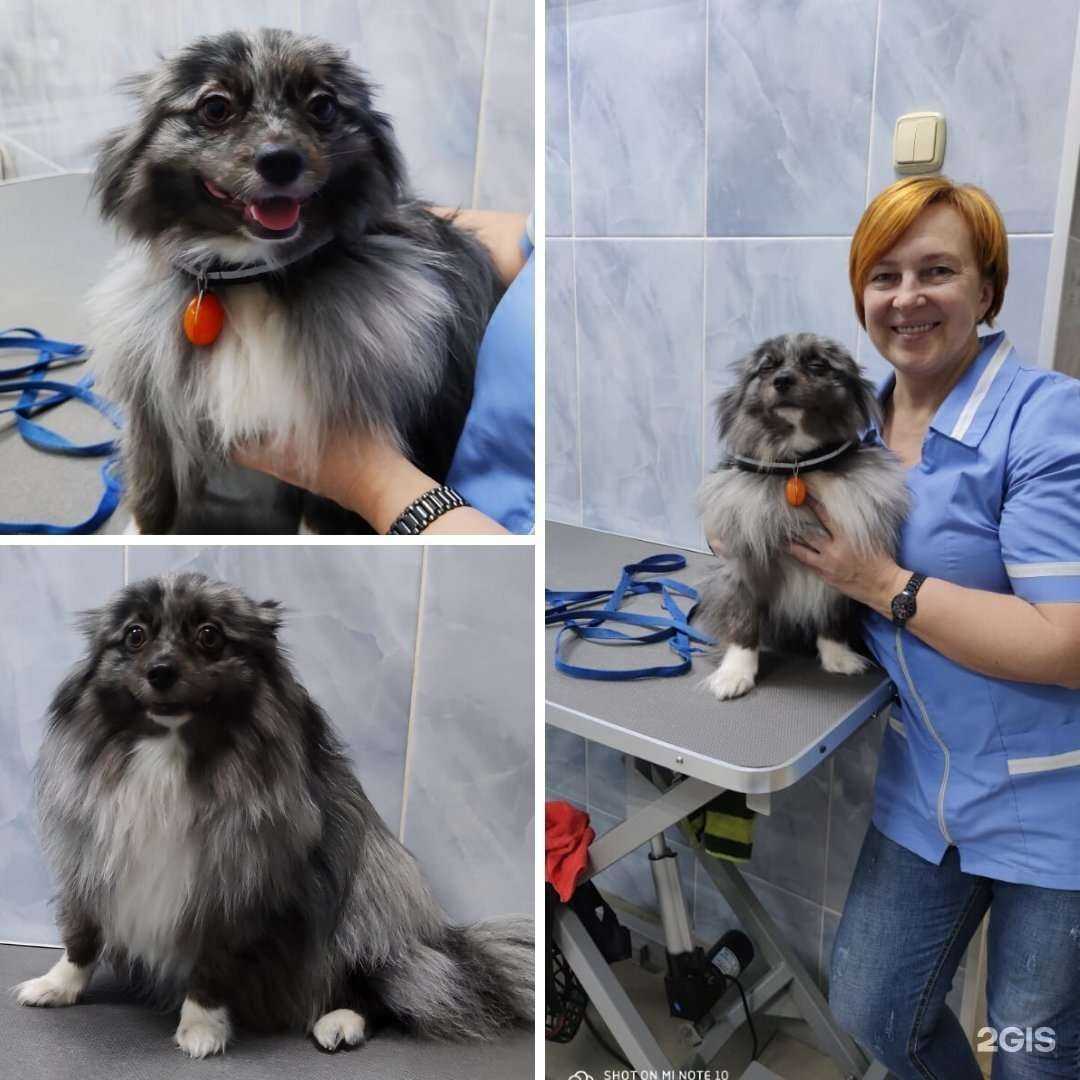 Отзывы на компанию СББЖ Гатчинского района в г. Гатчина c фото