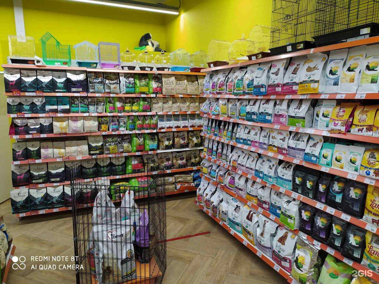 Отзывы на компанию Академия домашних животных в Самаре c фото