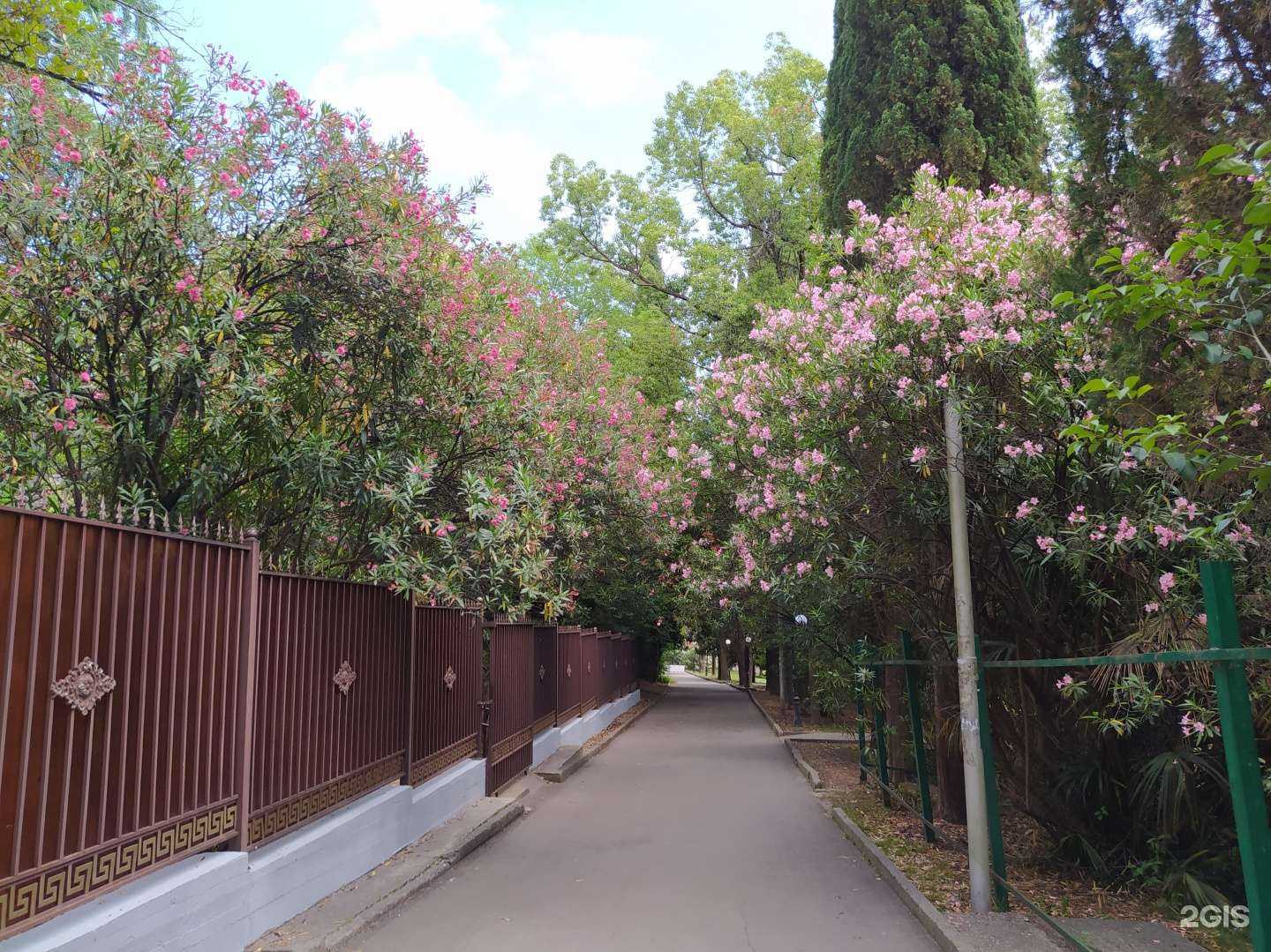 Отзывы на компанию Золотая пальма в Сочи c фото - фотография 2 из 2