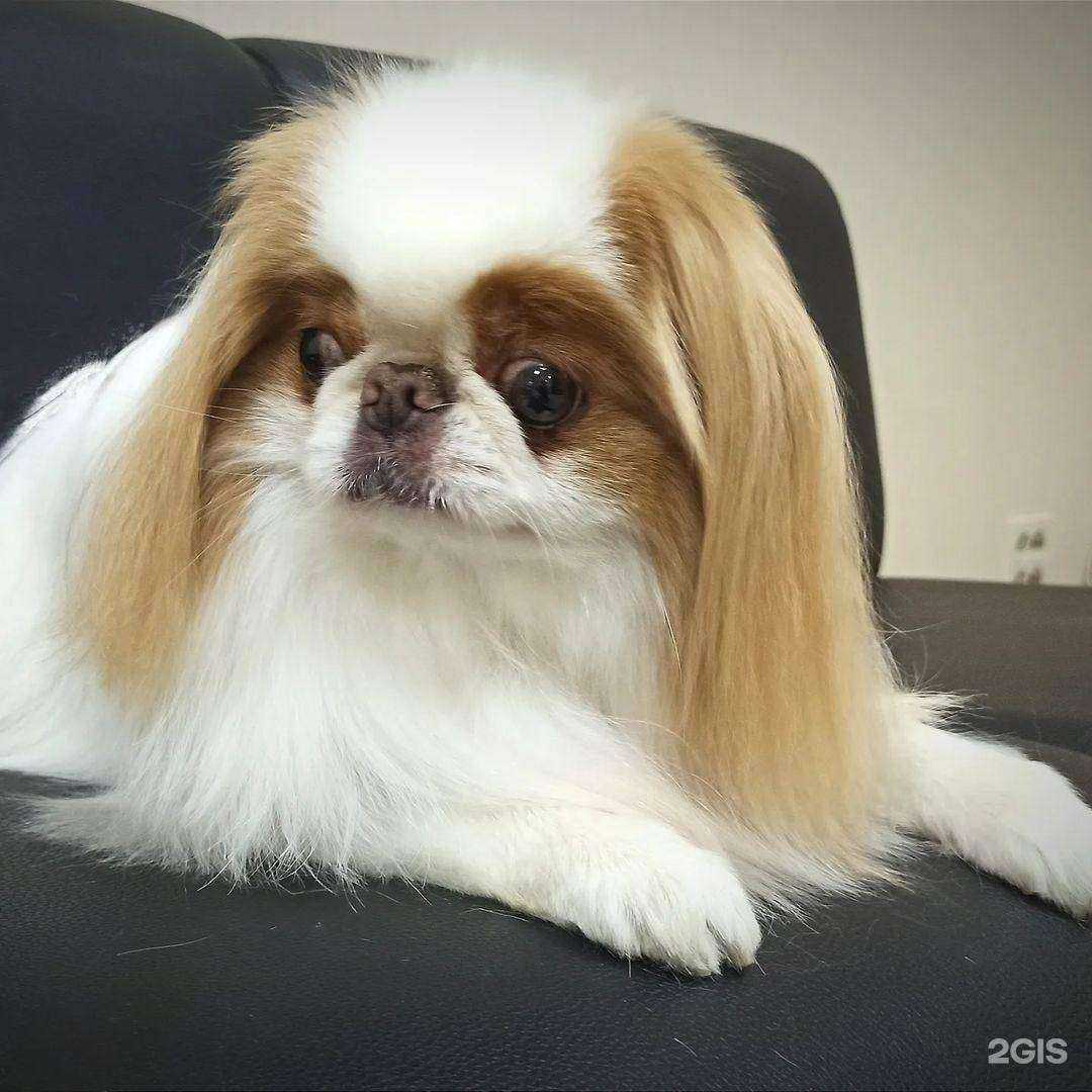 Отзывы на компанию New Йорк в Пензе c фото