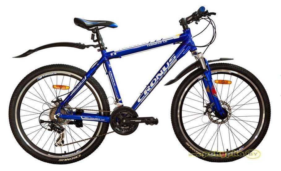 Отзывы на компанию Лига спорта в г. Кемерово c фото