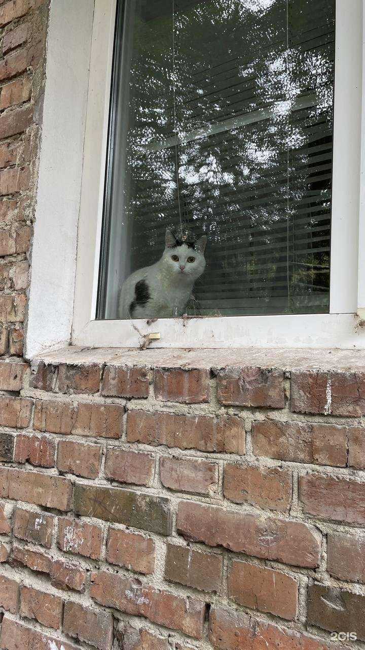 Отзывы на компанию Стриж в Красноярске c фото - фотография 2 из 2