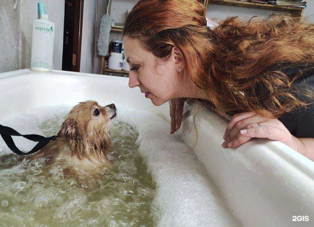 Отзывы на компанию Усы и Лапы в Белгороде c фото