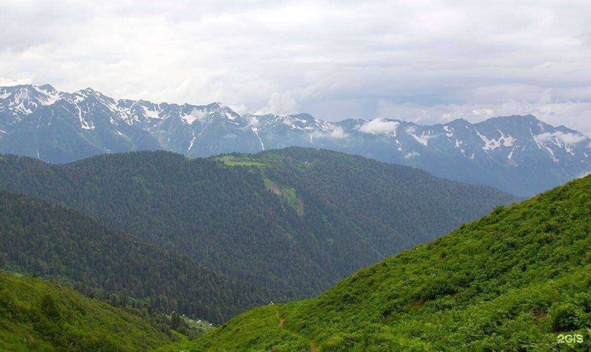 Отзывы на компанию Global dialog в Краснодаре c фото