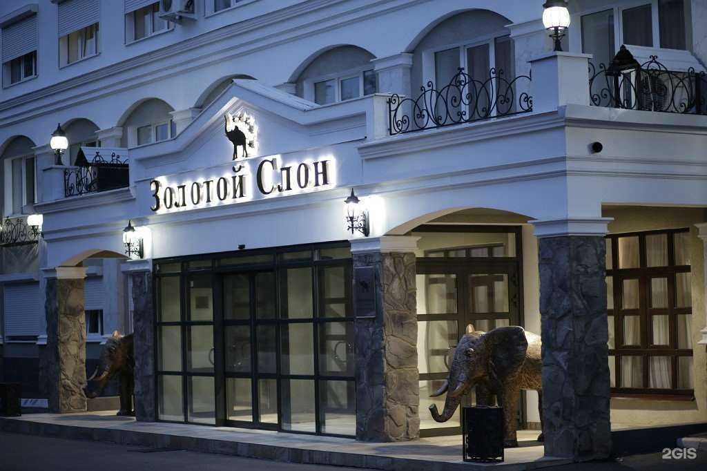 Отзывы на компанию Золотой слон в Оренбурге c фото