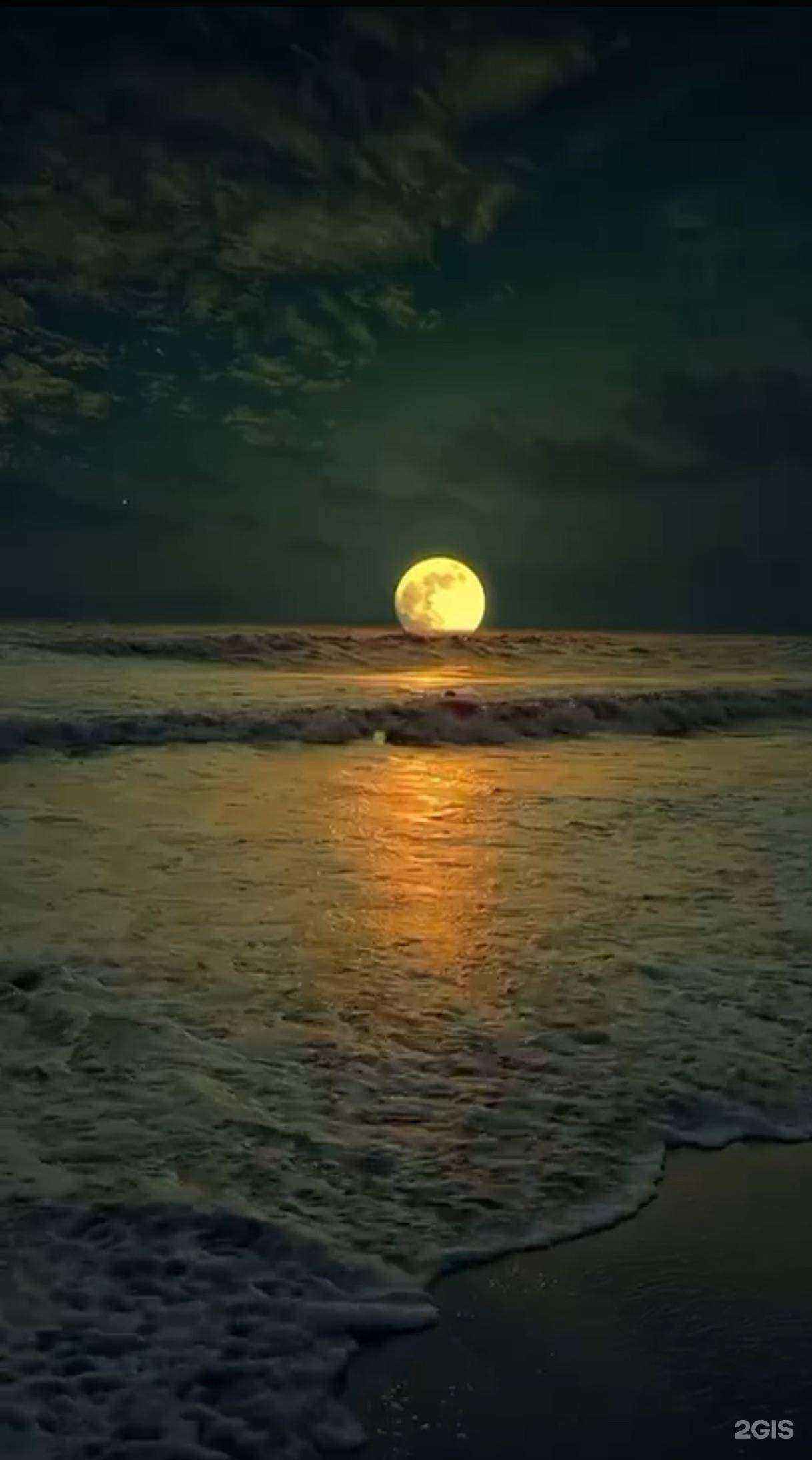 Отзывы на компанию Mare Caspium в Махачкале c фото