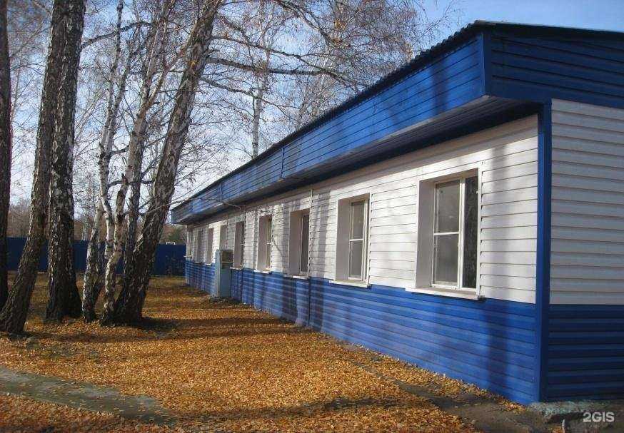 Отзывы на компанию Спортивная школа по хоккею с мячом Сибсельмаш в Новосибирске c фото