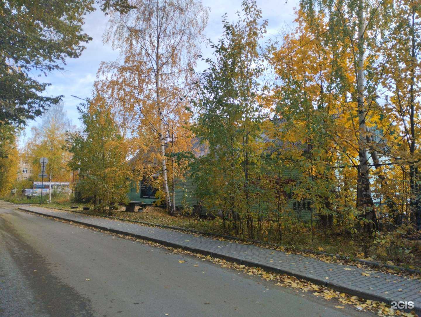 Отзывы на компанию Z-school в Петрозаводске c фото - фотография 2 из 2