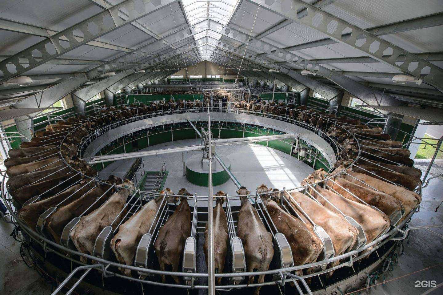 Отзывы на компанию Строй-Империя в г. Махачкала c фото