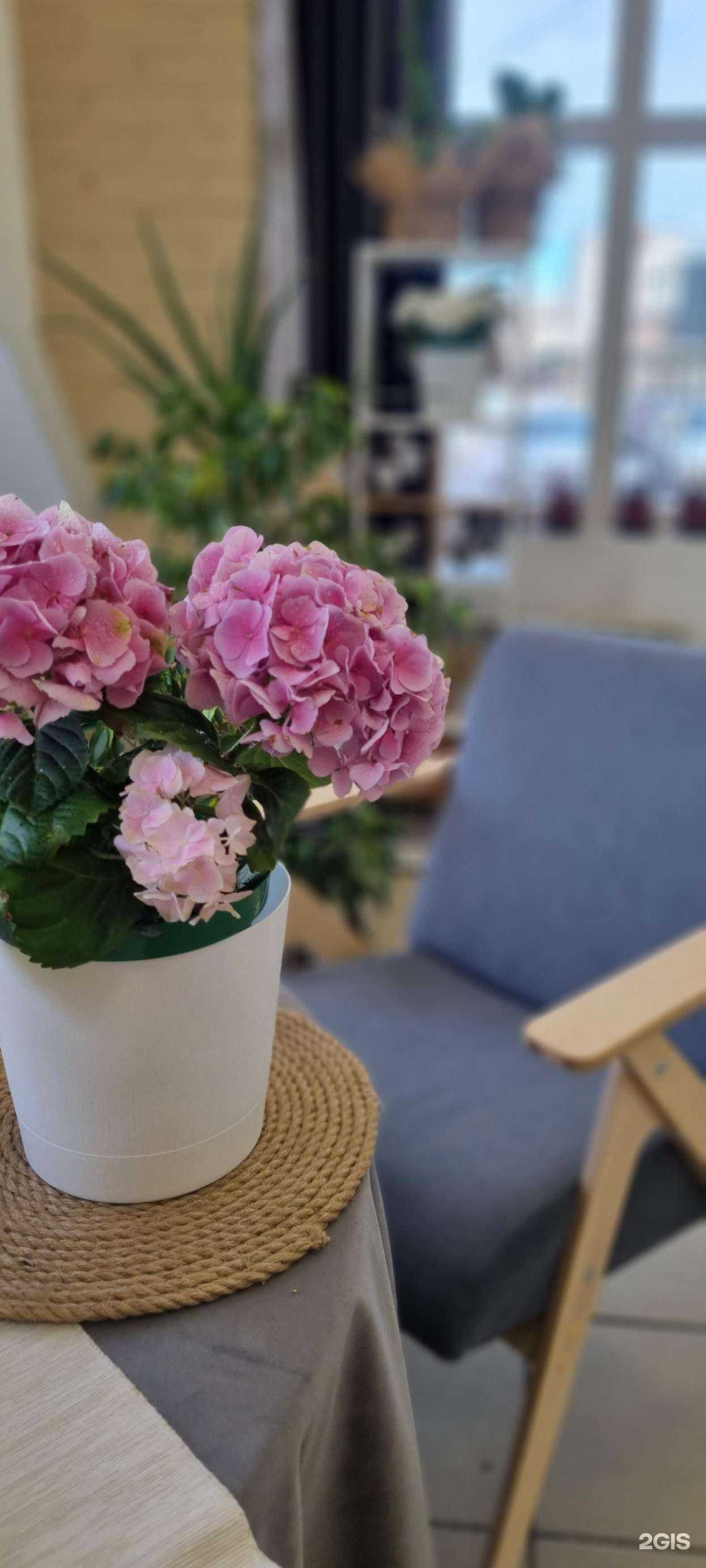 Отзывы на компанию Поле в Омске c фото