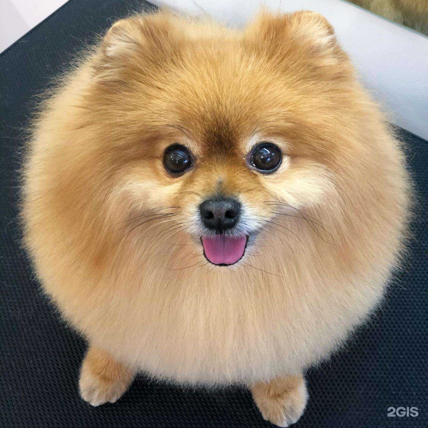 Отзывы на компанию Кучерявая жизнь в г. Красноярск c фото