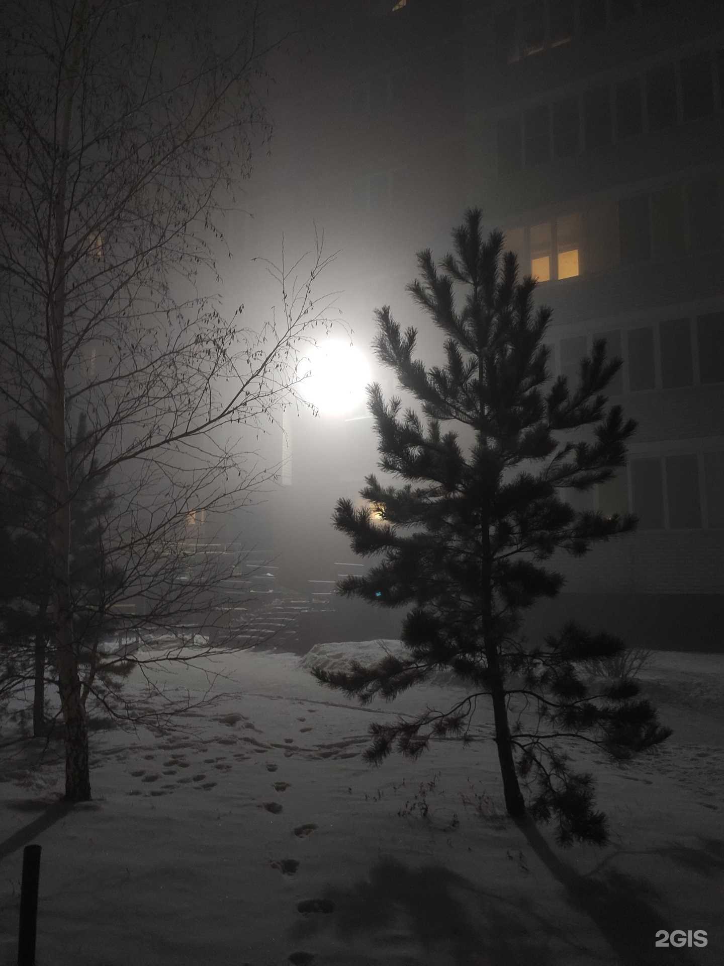 Отзывы на компанию Мудрый филин в Омске c фото - фотография 2 из 2