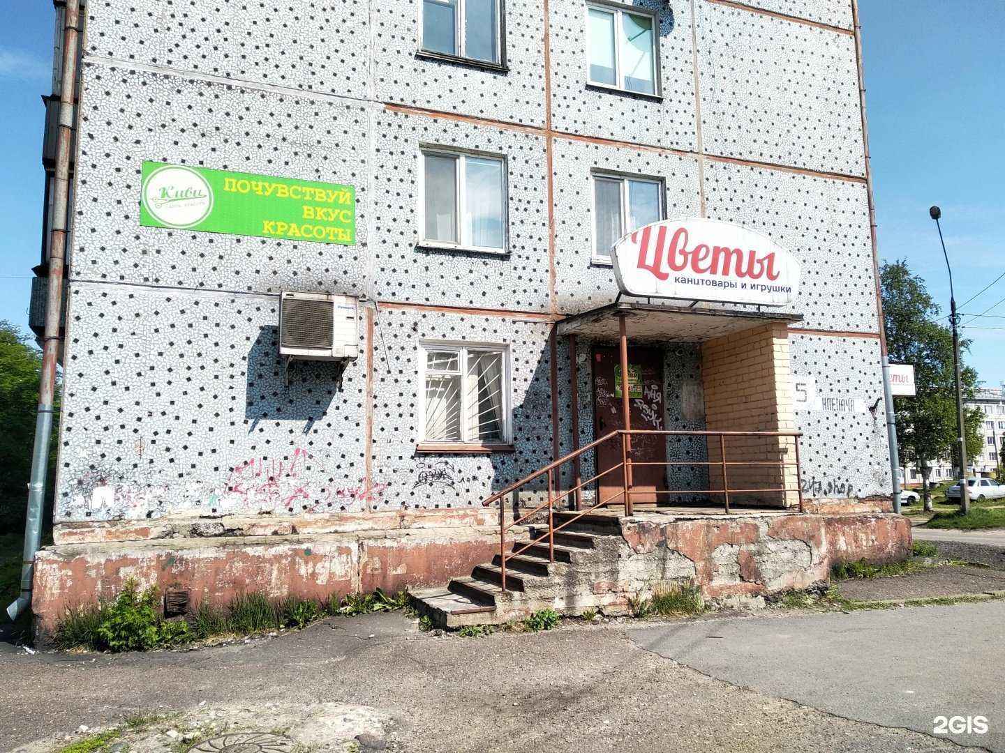 Отзывы на компанию Питомец в Архангельске c фото