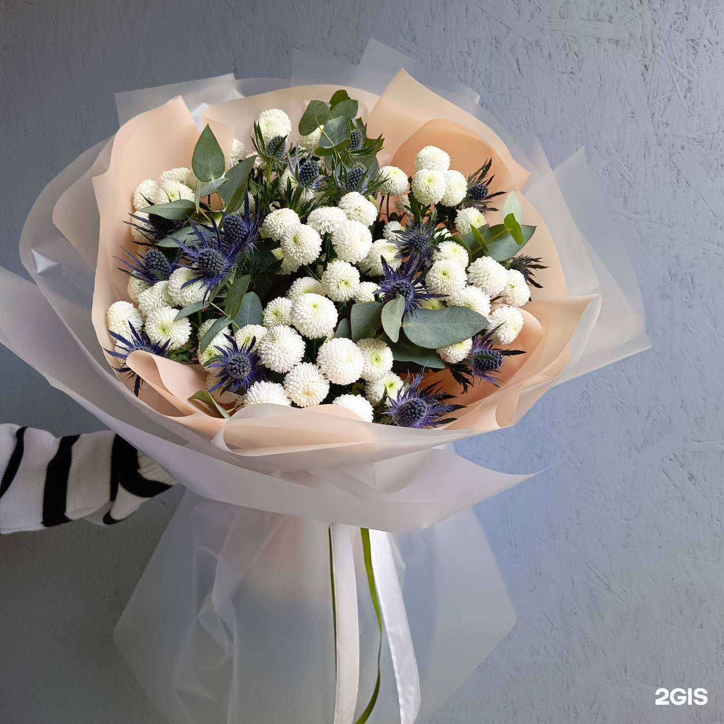 Отзывы на компанию Салют в Зернограде c фото