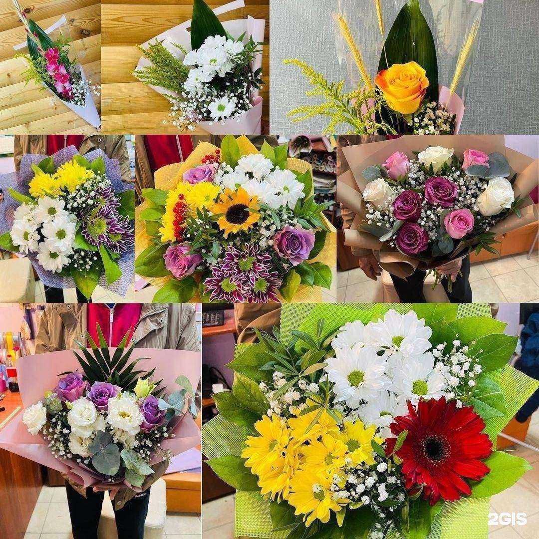 Отзывы на компанию Жасмин в Якутске c фото