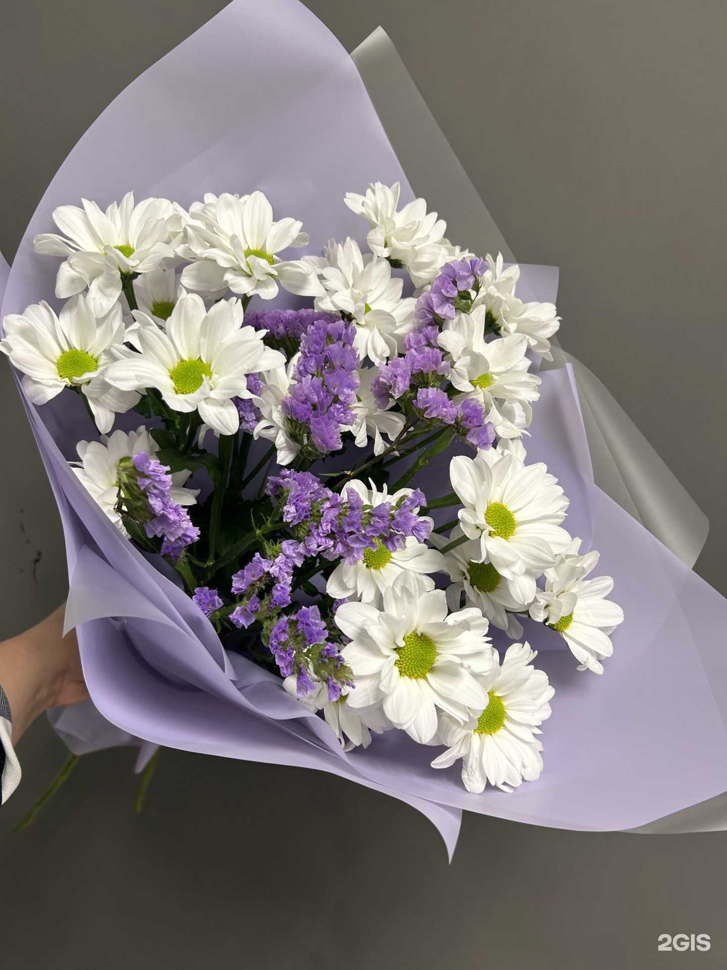 Отзывы на компанию Rose Center в Ярославле c фото