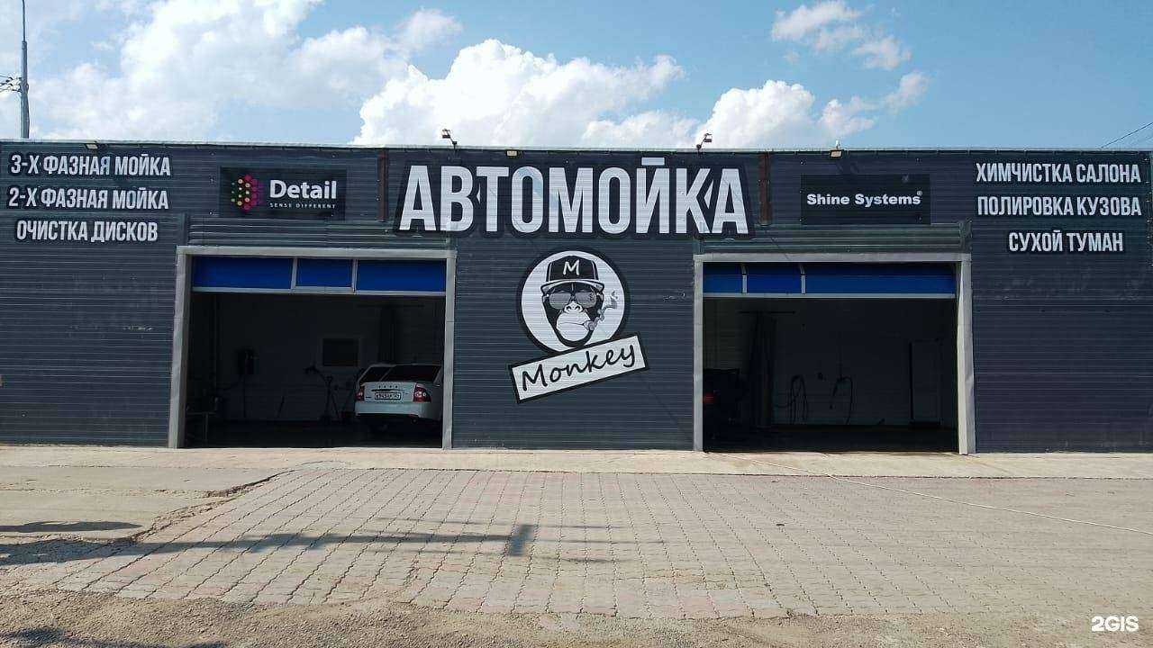 Отзывы на компанию Monkey в г. Красноярск c фото