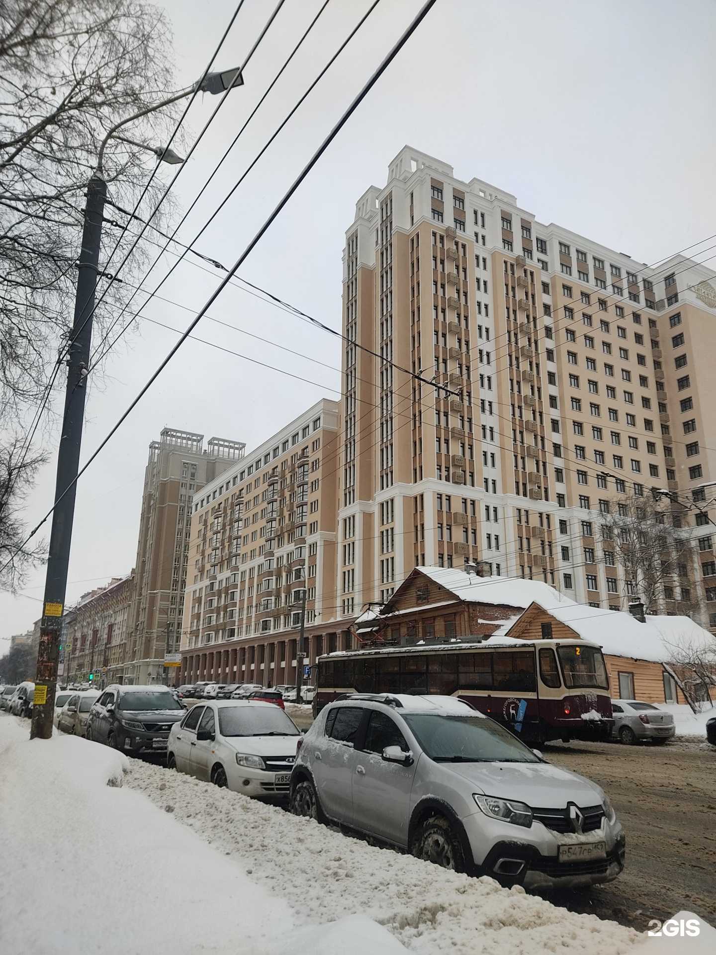 Отзывы на компанию ЗооДруг в Нижнем Новгороде c фото - фотография 2 из 2