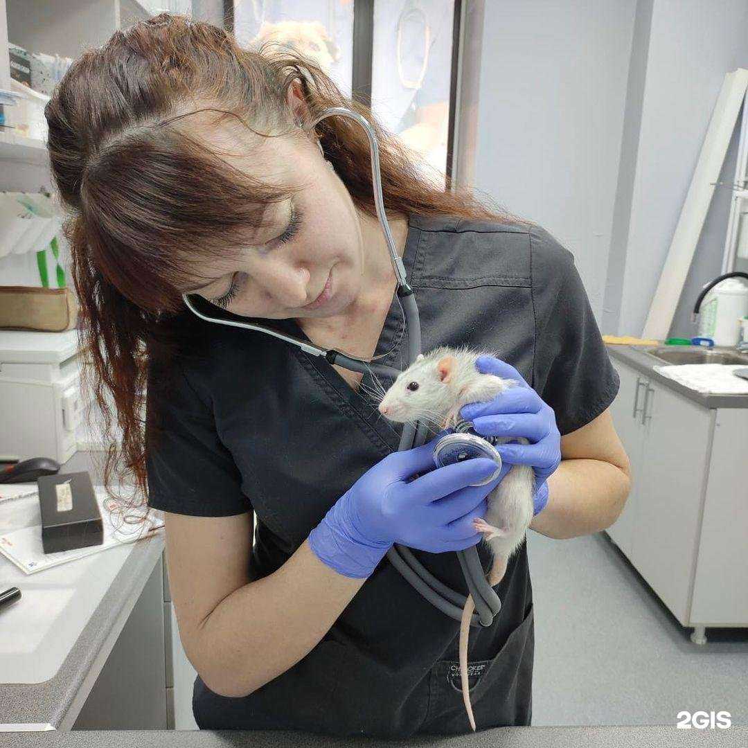 Отзывы на компанию ИнТерра в г. Новосибирск c фото