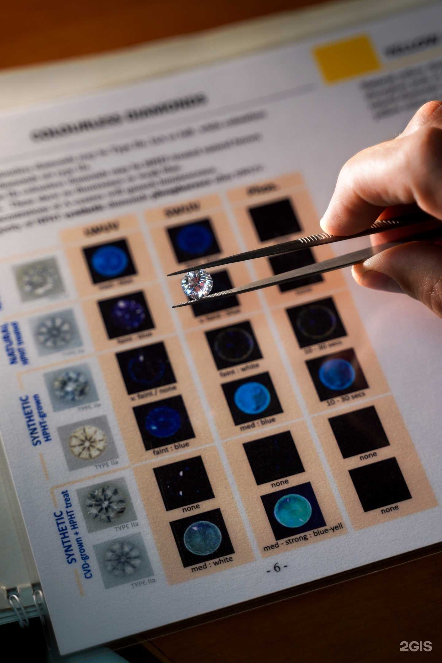 Отзывы на компанию Влади-Мир в г. Сочи c фото