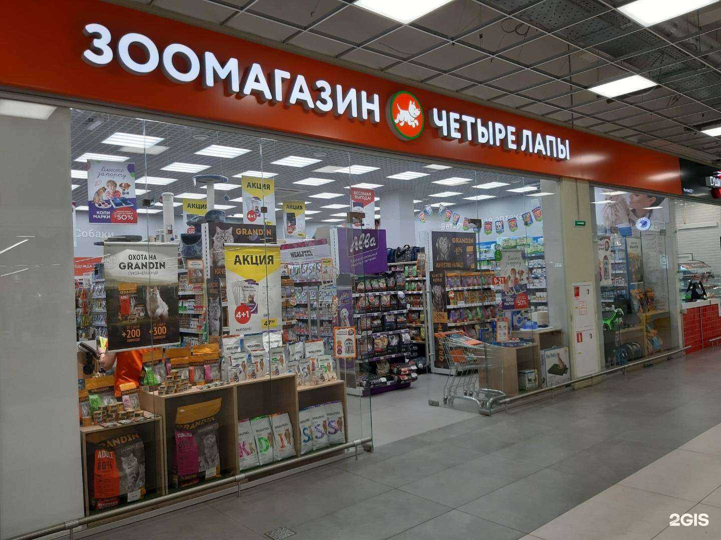 Отзывы на компанию Четыре лапы в г. Ярославль c фото