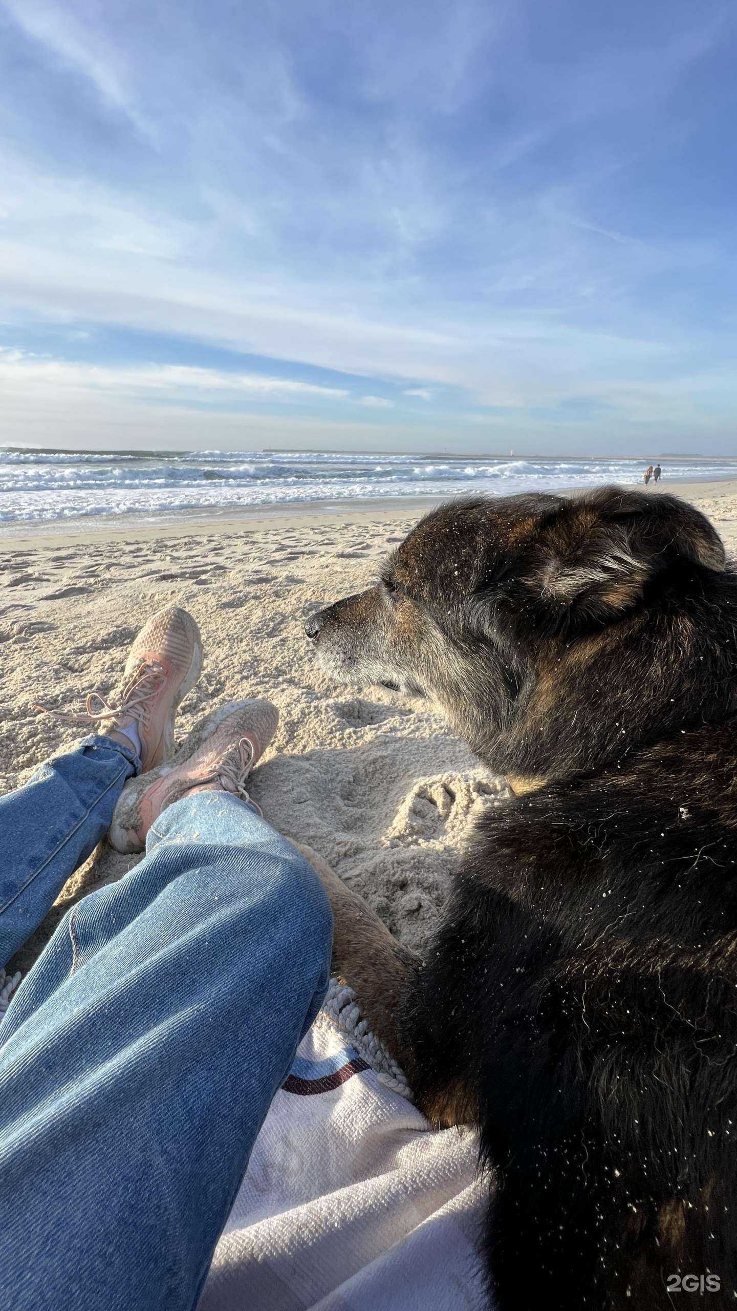 Отзывы на компанию Альтернатива в г. Новосибирск c фото