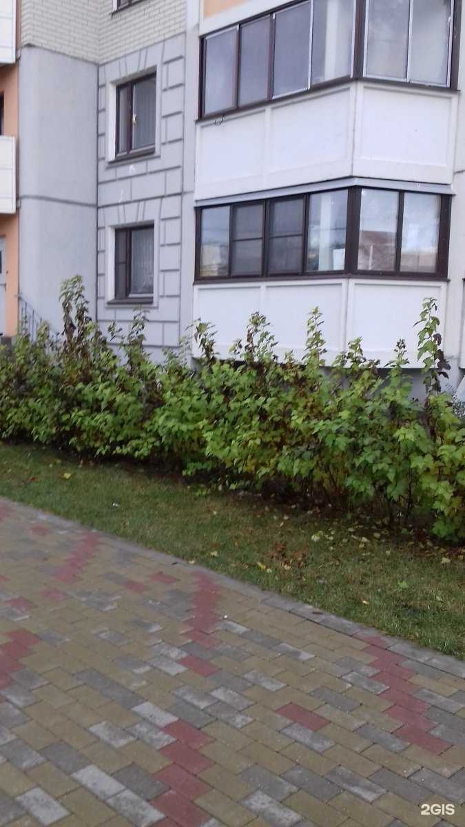 Отзывы на компанию Qlean в Балашихе c фото - фотография 2 из 2