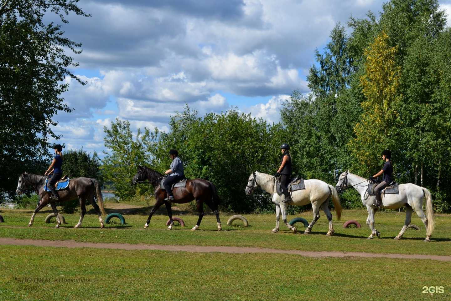 Отзывы на компанию Полюшко в г. Пермь c фото