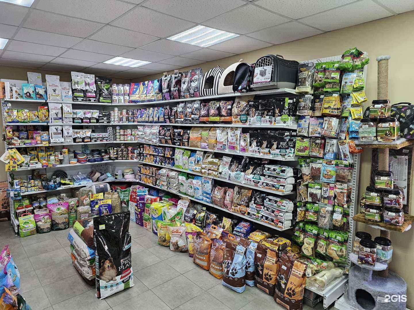Отзывы на компанию Pet shop в Хабаровске c фото