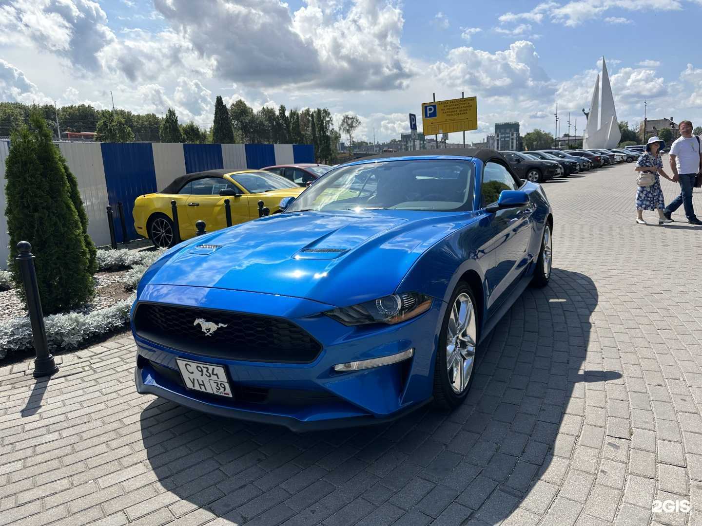 Отзывы на компанию Mega в Калининграде c фото