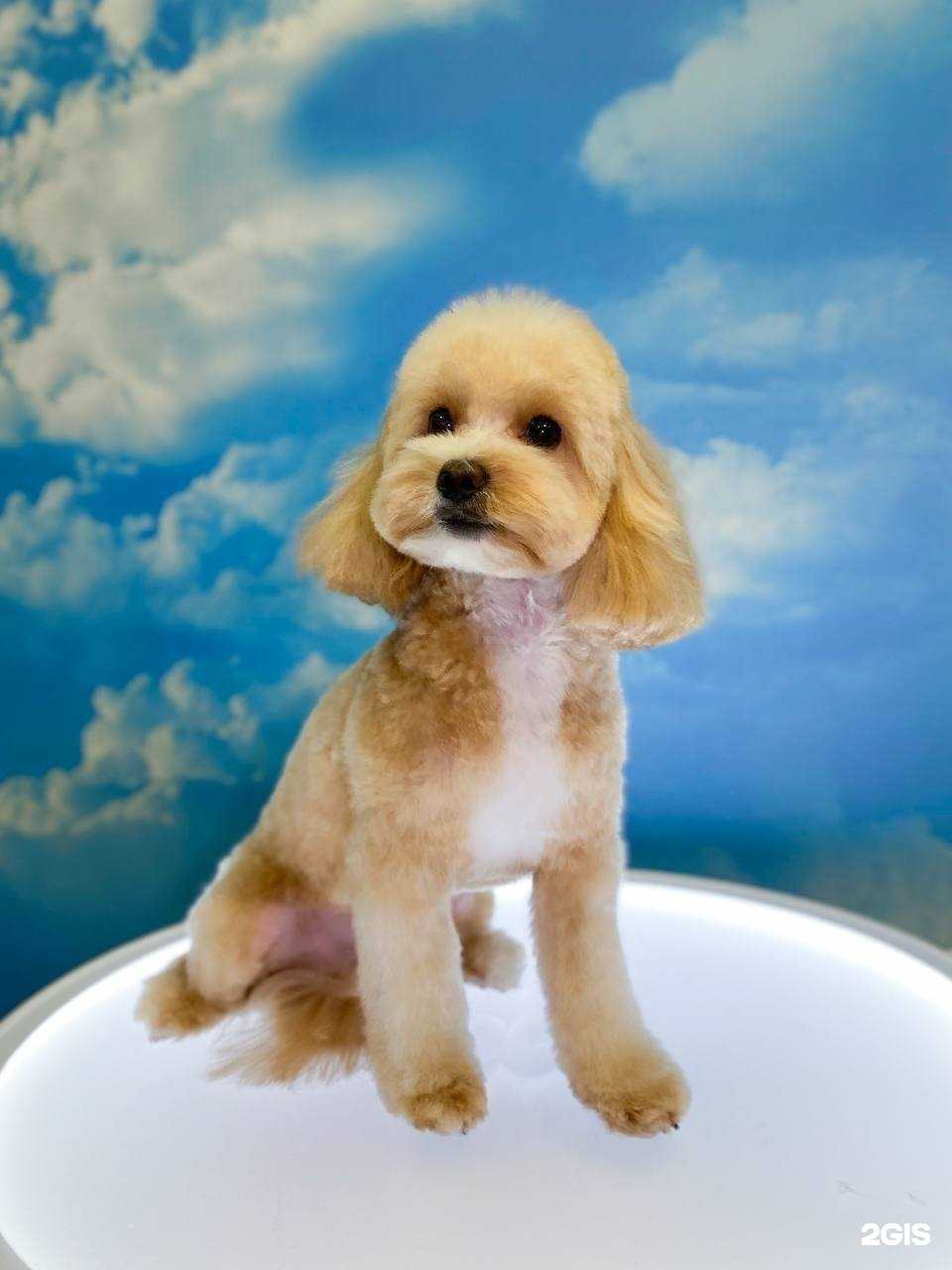 Отзывы на компанию БаБу в Реутове c фото