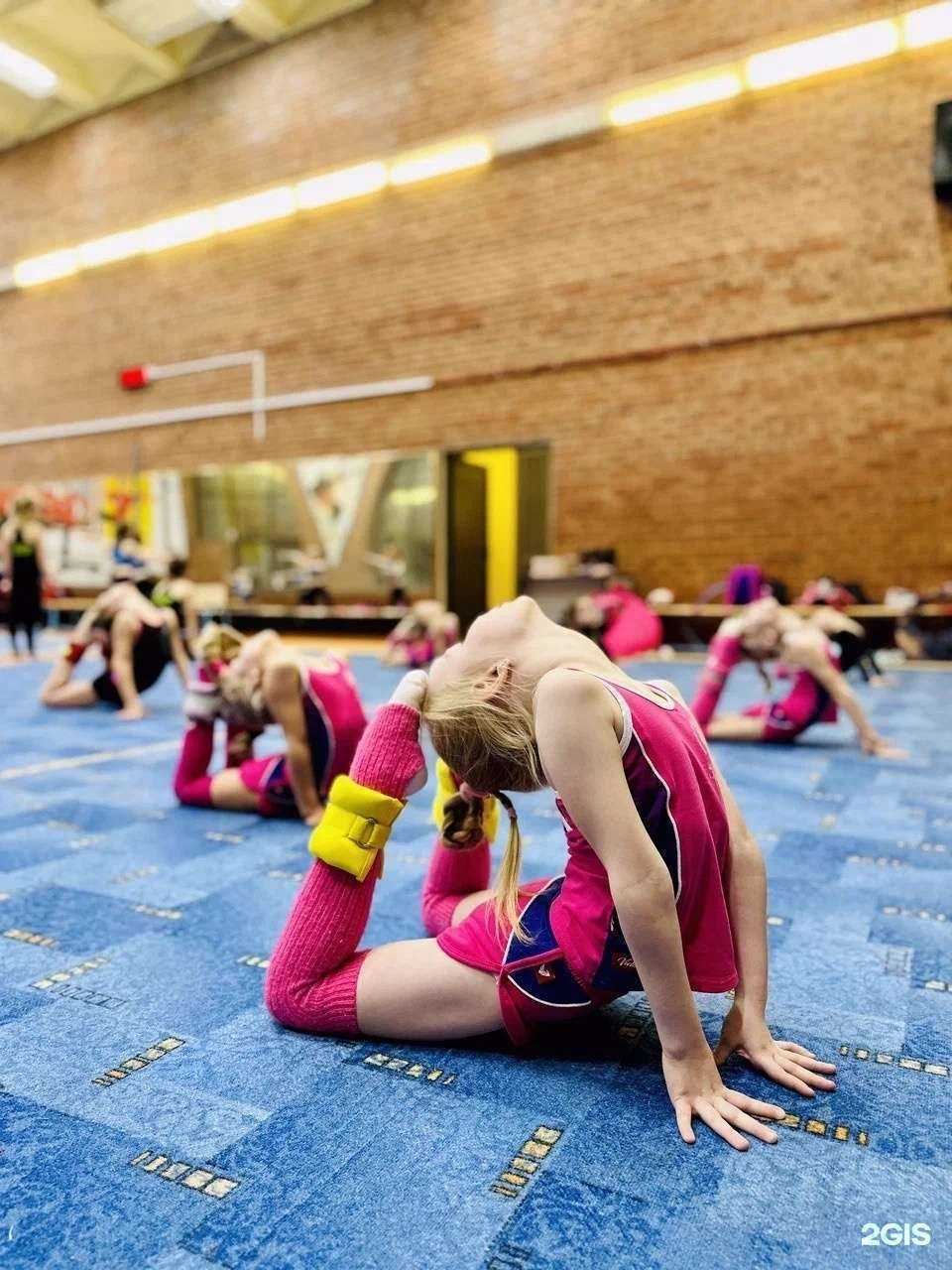 Отзывы на компанию Федерация художественной гимнастики г. Ярославля в г. Ярославль c фото