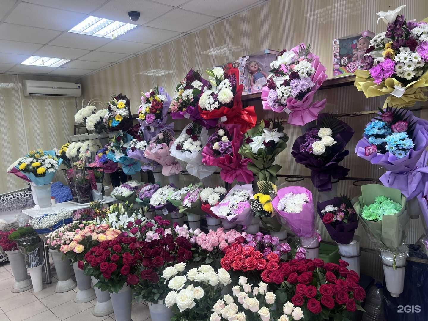 Отзывы на компанию Гран при в г. Альметьевск c фото