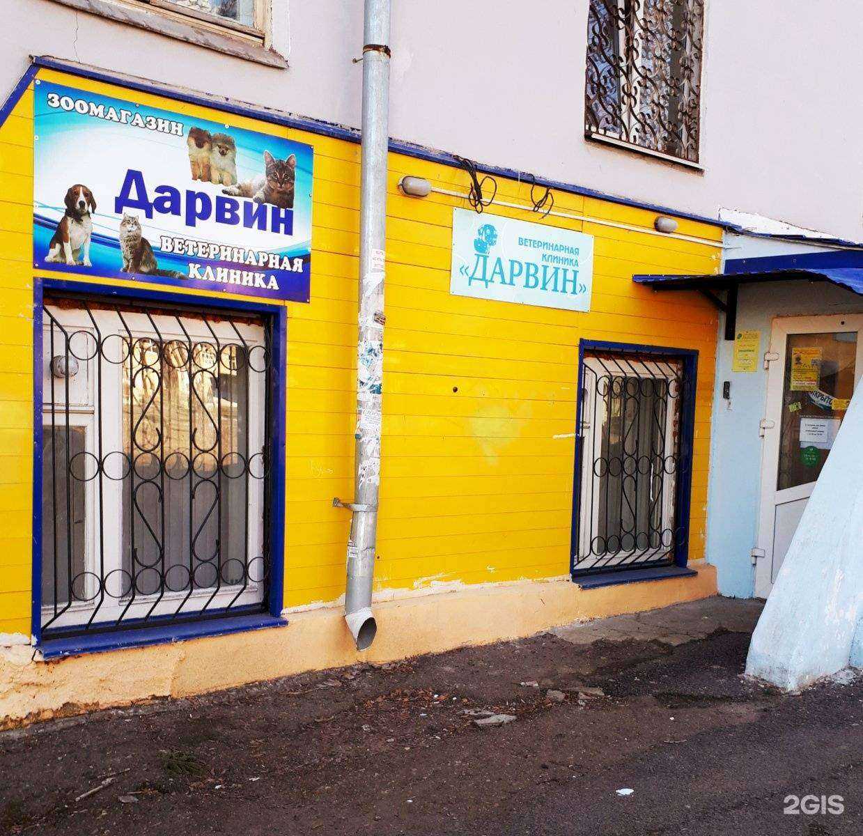 Отзывы на компанию Дарвин в Уфе c фото