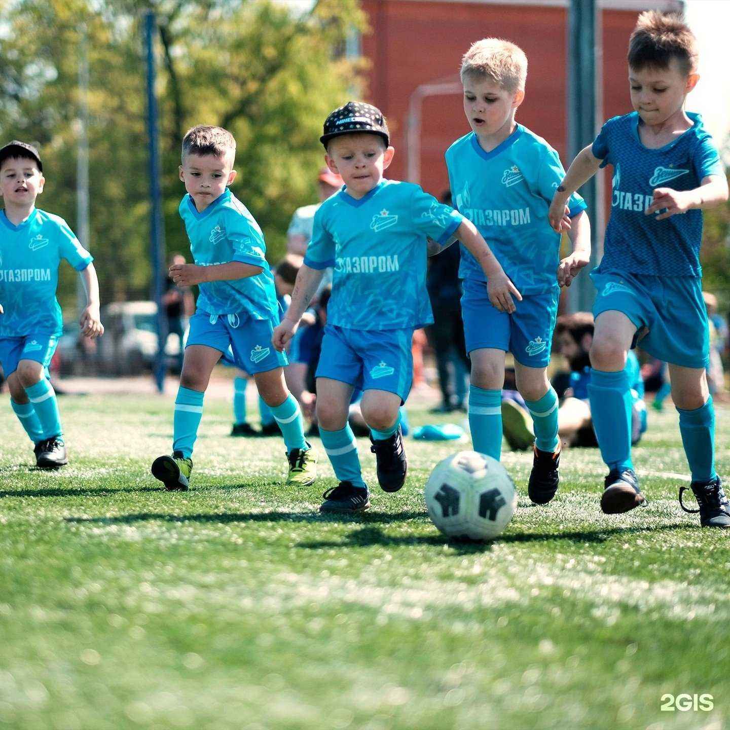 Отзывы на компанию Зенит-Чемпионика в Абакане c фото