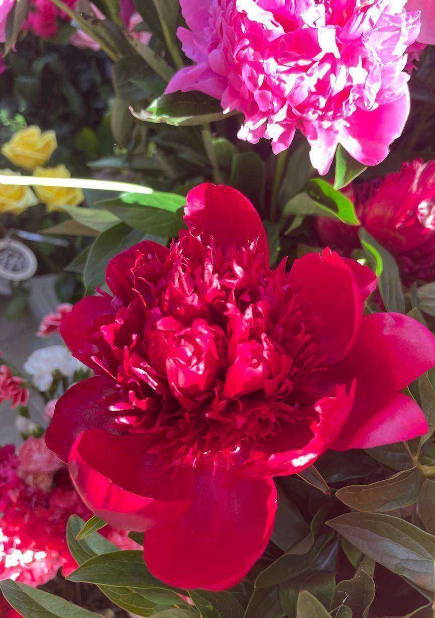 Отзывы на компанию Жасмина в г. Томск c фото